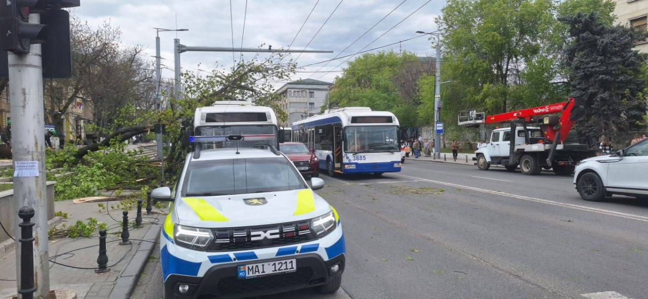 Vântul puternic a făcut pagube în Chișinău. Un copac a căzut peste un troleibuz, iar altul era la un pas să strivească o mamă cu copil