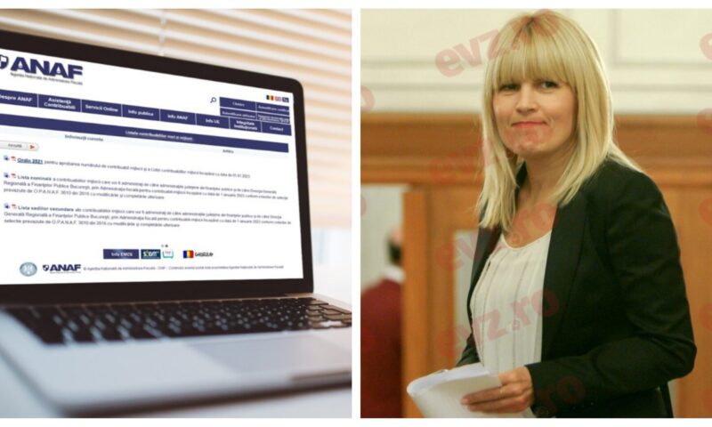 Cât costă terenurile Elenei Udrea sau mașina lui Dinu Pescariu. Bunuri confiscate și executate silit, scoase la licitație online de ANAF