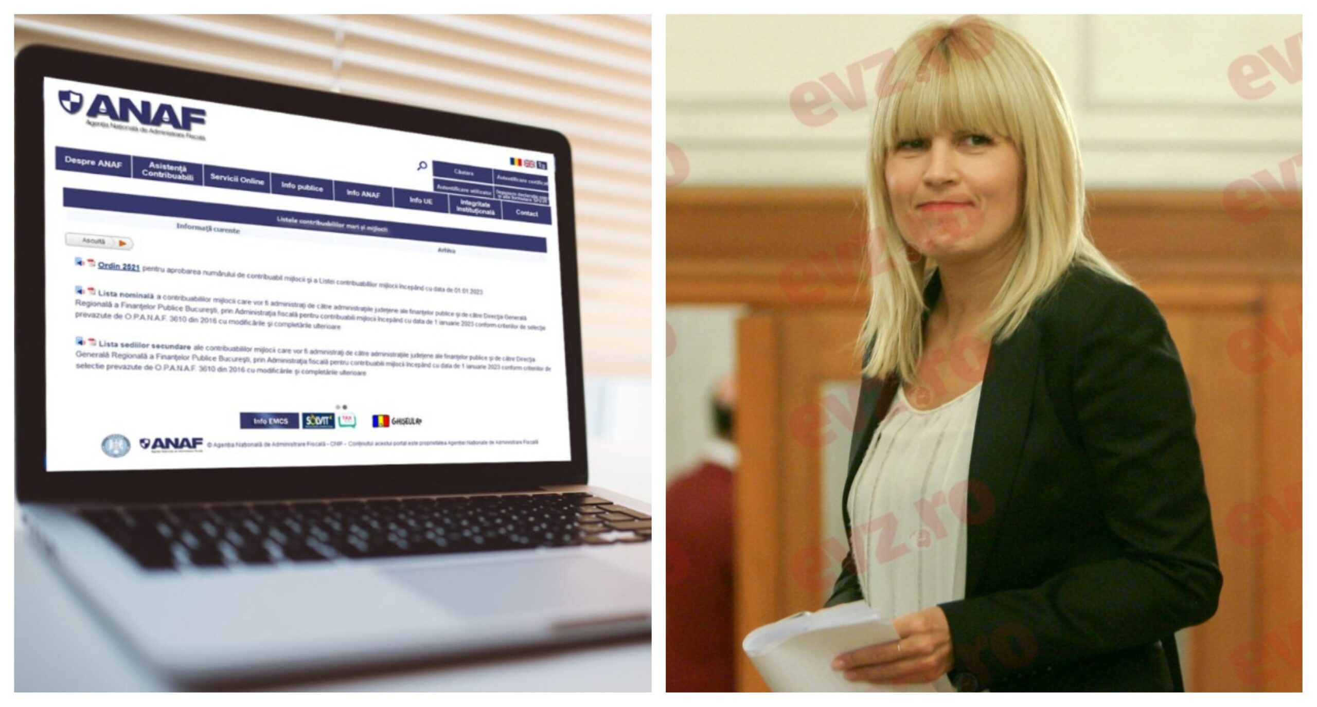 Cât costă terenurile Elenei Udrea sau mașina lui Dinu Pescariu. Bunuri confiscate și executate silit, scoase la licitație online de ANAF