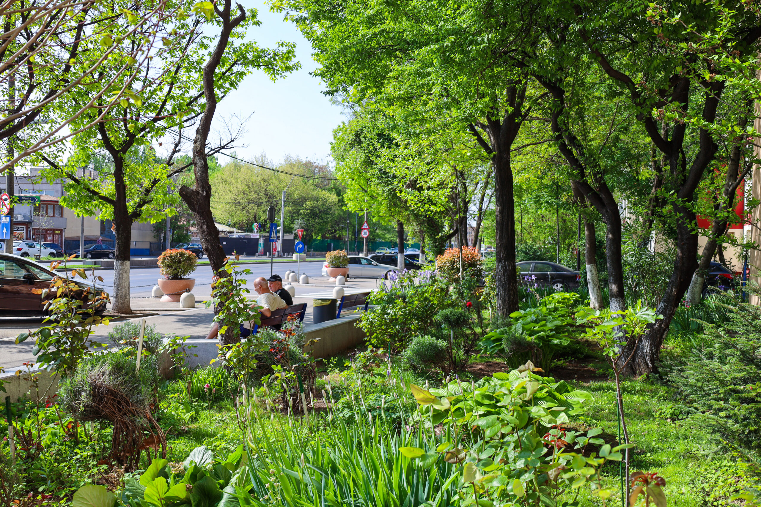 Mai mult verde în Sectorul 4 al Capitalei! Se plantează copaci și se extind spațiile verzi din sudul Bucureștiului