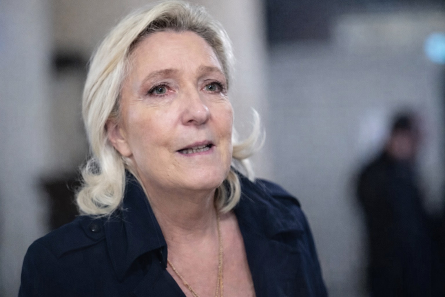Marine Le Pen, în dialog direct cu elita economică franceză. Întâlnire discretă cu lideri ai marilor corporații