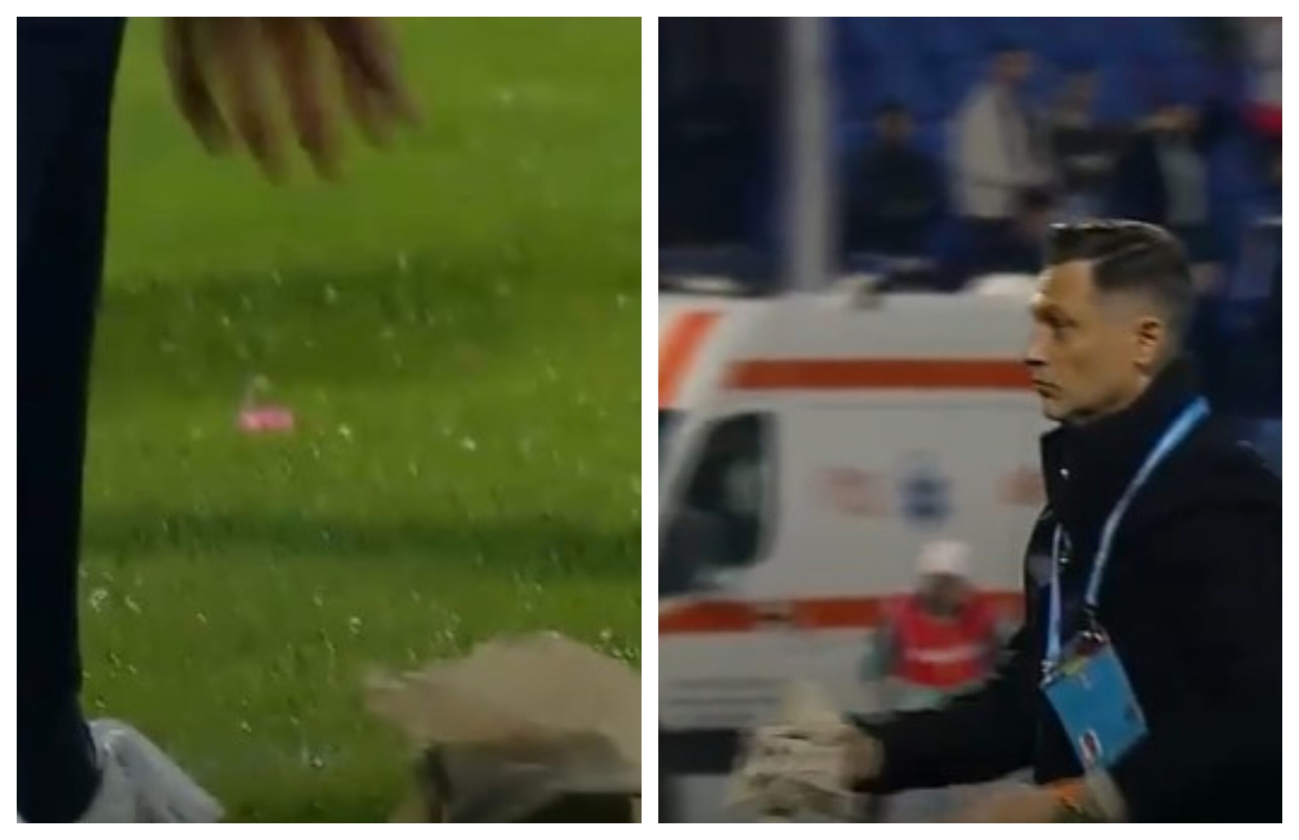 Mirel Rădoi, luat la țintă de fanii lui FC Botoșani cu role de hârtie igienică. Reacția antrenorului