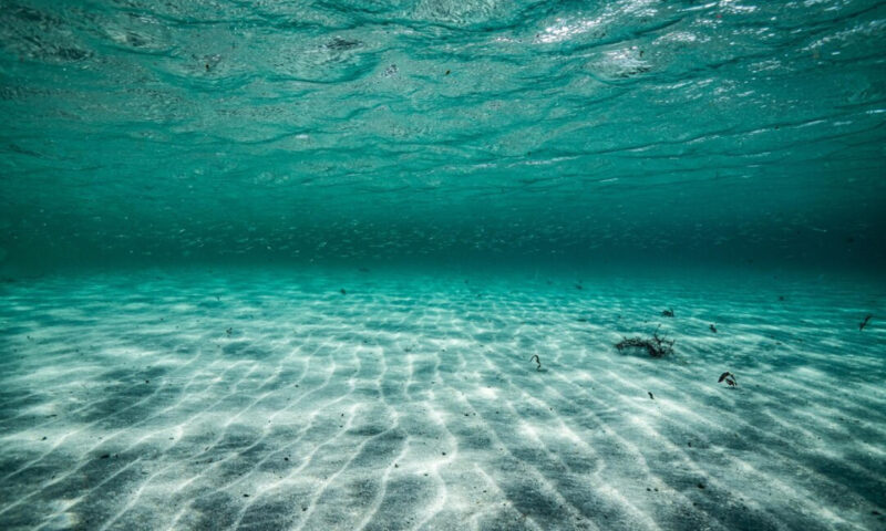 Fenomen îngrijorător observat în oceanele lumii. Verile ar putea deveni tot mai fierbinți