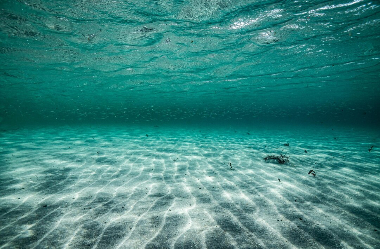 Lumea din adâncuri. Descoperirea care ar putea schimba tot ce se știa despre microbi