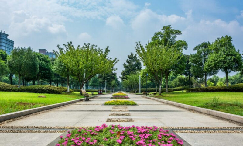 Noi etape pentru Parcul Pallady. Primăria Sectorului 3 vrea să înceapă procedurile de expropriere