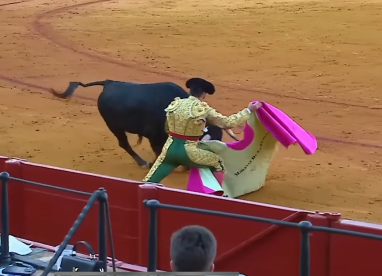 toreador