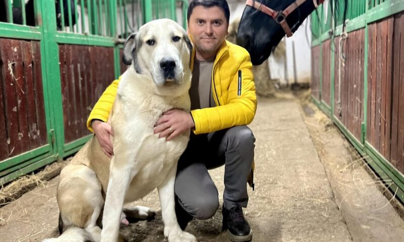 Lider PNL, revoltat după ce i-a fost împușcat câinele: „Am adus probele, Poliția nu a făcut nimic”