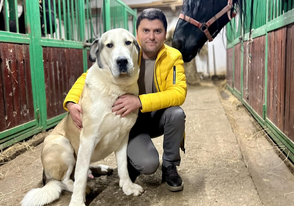 Lider PNL, revoltat după ce i-a fost împușcat câinele: „Am adus probele, Poliția nu a făcut nimic”