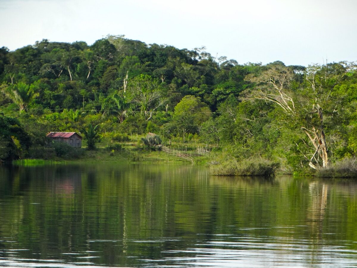 Amazon Brazilia
