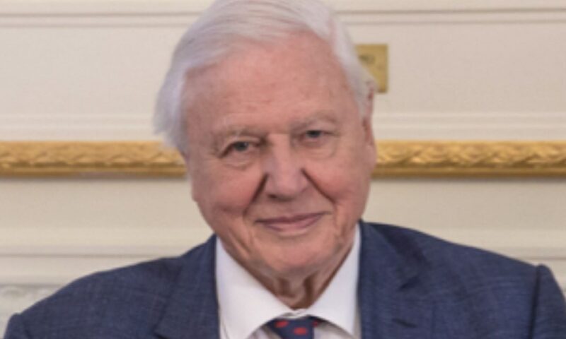 David Attenborough, emoționat la împlinirea a 100 de ani. Mesajul emoționat transmis de celebrul naturalist 