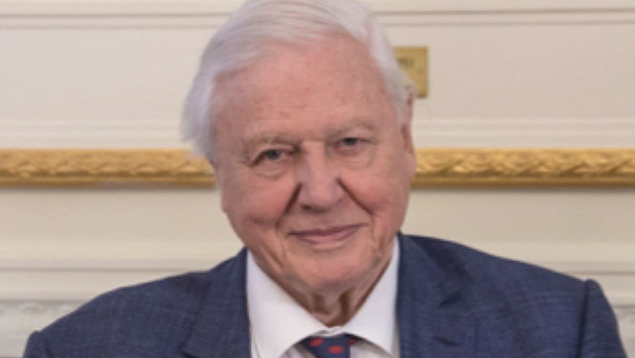 David Attenborough, emoționat la împlinirea a 100 de ani. Mesajul emoționat transmis de celebrul naturalist 