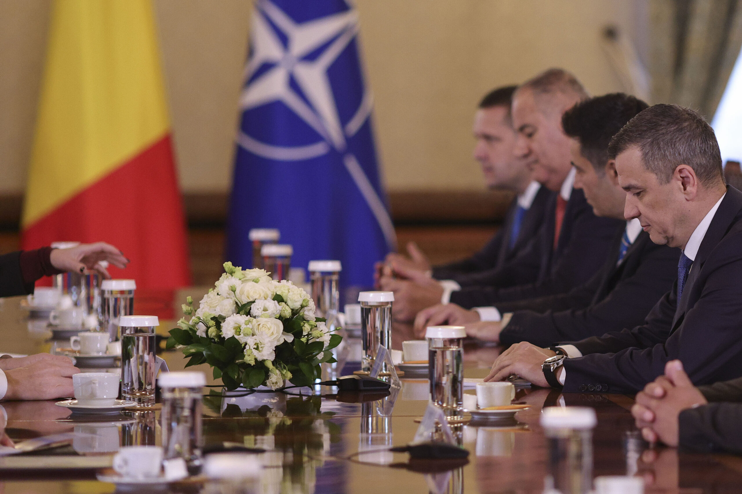 Delegația PSD
