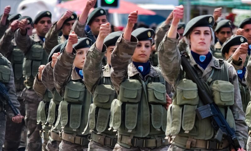 Serviciul militar obligatoriu. Schimbare istorică în recrutare, discutată într-o țară UE