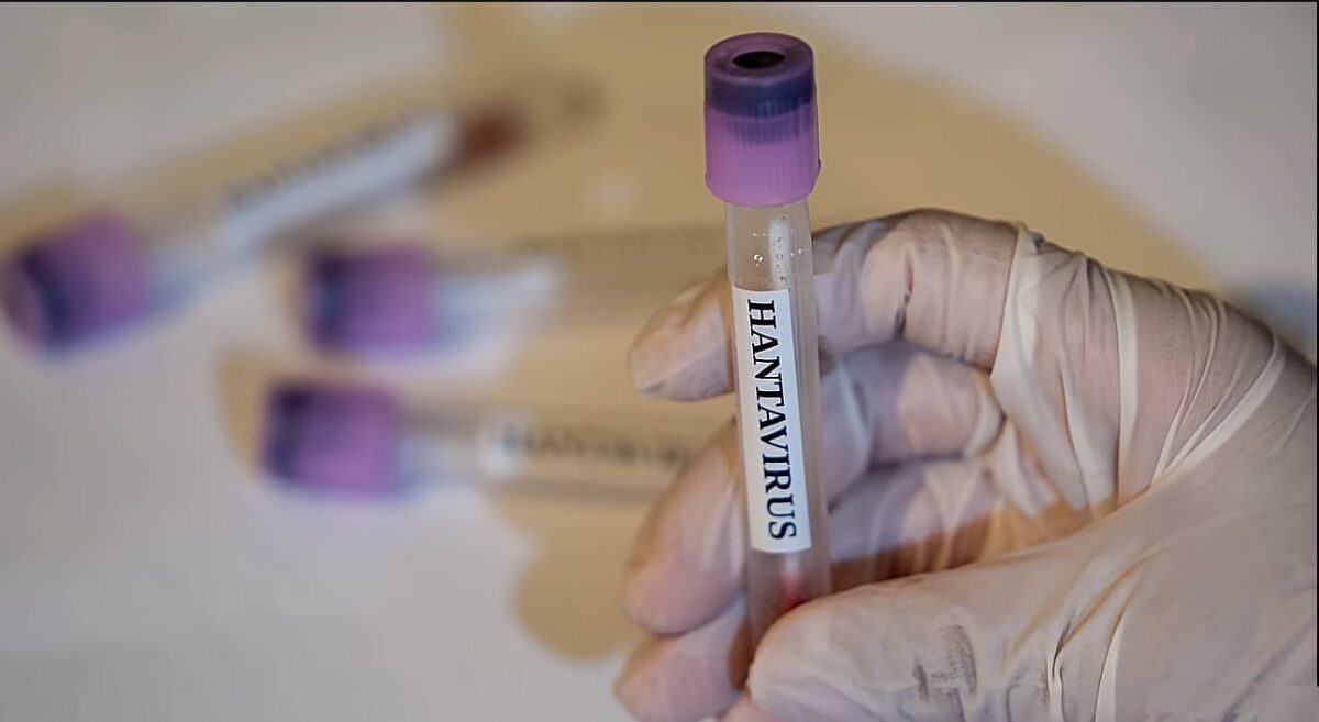CDC, opinie diferită de OMS cu privire la focarul de hantavirus. Ce riscuri vede SUA