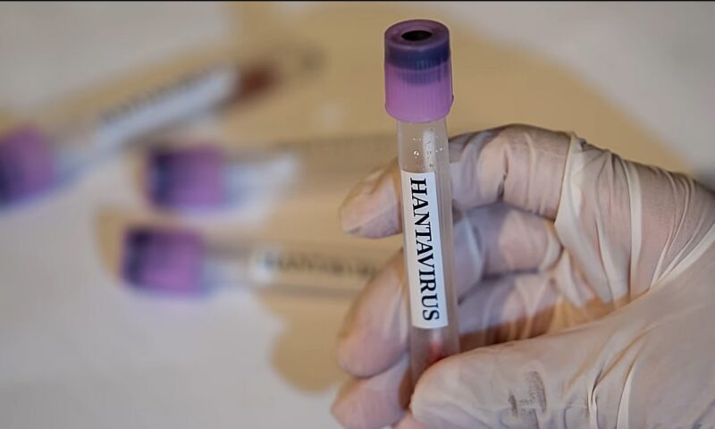 CDC, opinie diferită de OMS cu privire la focarul de hantavirus. Ce riscuri vede SUA