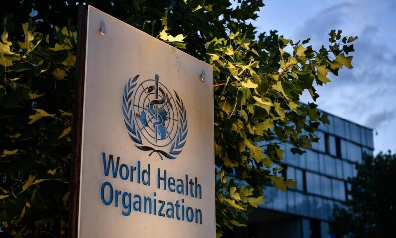 OMS pregătește un ghid de măsuri și recomandări pentru gestionarea primului focar de hantavirus apărut pe o navă de croazieră
