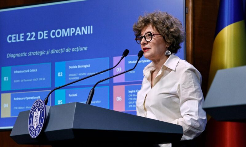 Noi informații despre întâlnirea dintre Oana Gheorghiu și grupul Schwarz. Referiri la serviciile oferite Guvernului german
