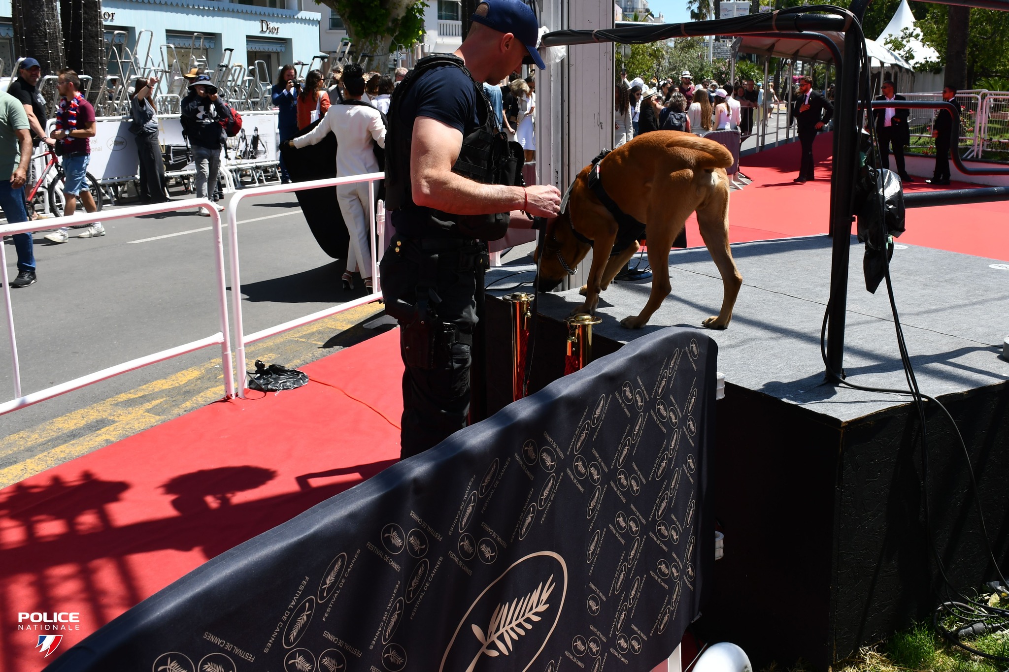 Poliție Cannes