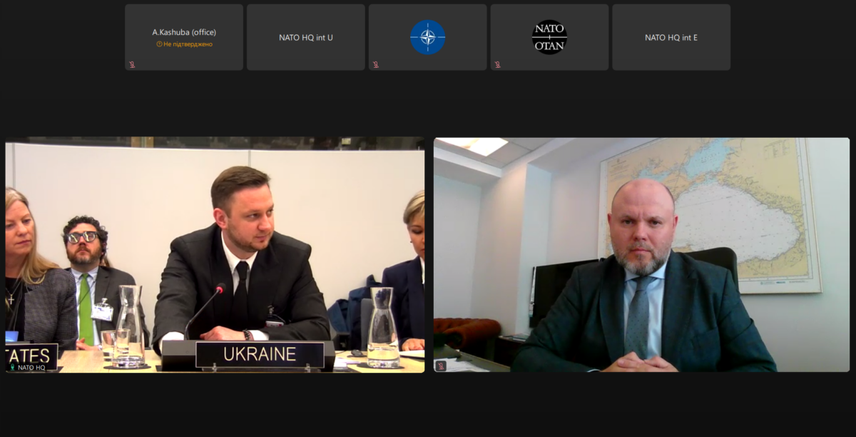 Ucraina NATO
