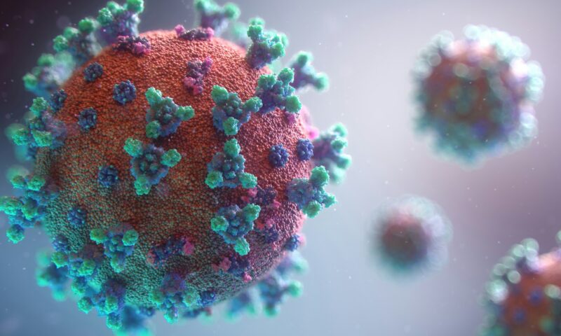 Una dintre cele mai contagioase infecții din lume are o nouă tulpină. Cazurile cresc în SUA