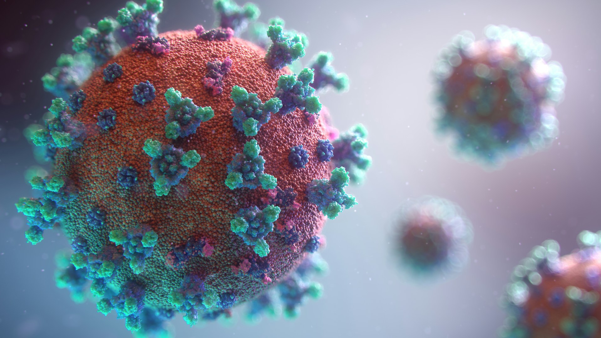 Una dintre cele mai contagioase infecții din lume are o nouă tulpină. Cazurile cresc în SUA