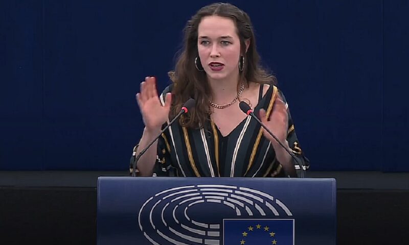 Eurodeputată vizată de imagini false în care apare dezbrăcată. Lena Schilling a cerut măsuri la nivelul UE