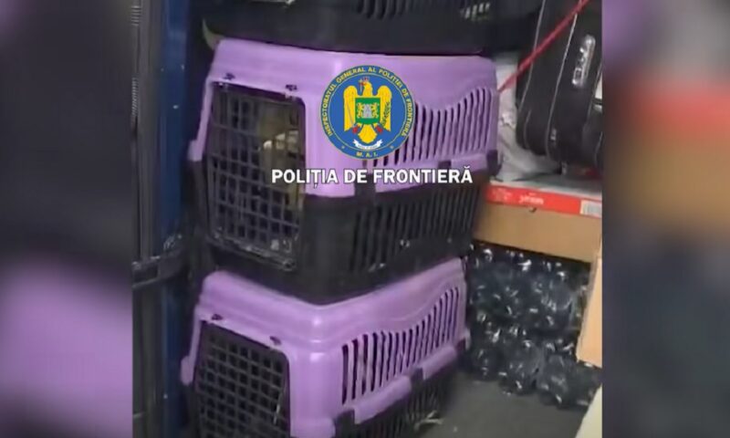 Cu ce se mai face trafic între România și Bulgaria. Descoperire neașteptată a vameșilor, la Giurgiu