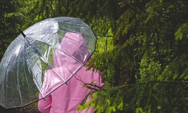 Prognoza meteo, 11 mai. Început de săptămână cu vreme instabilă. Când se încălzește