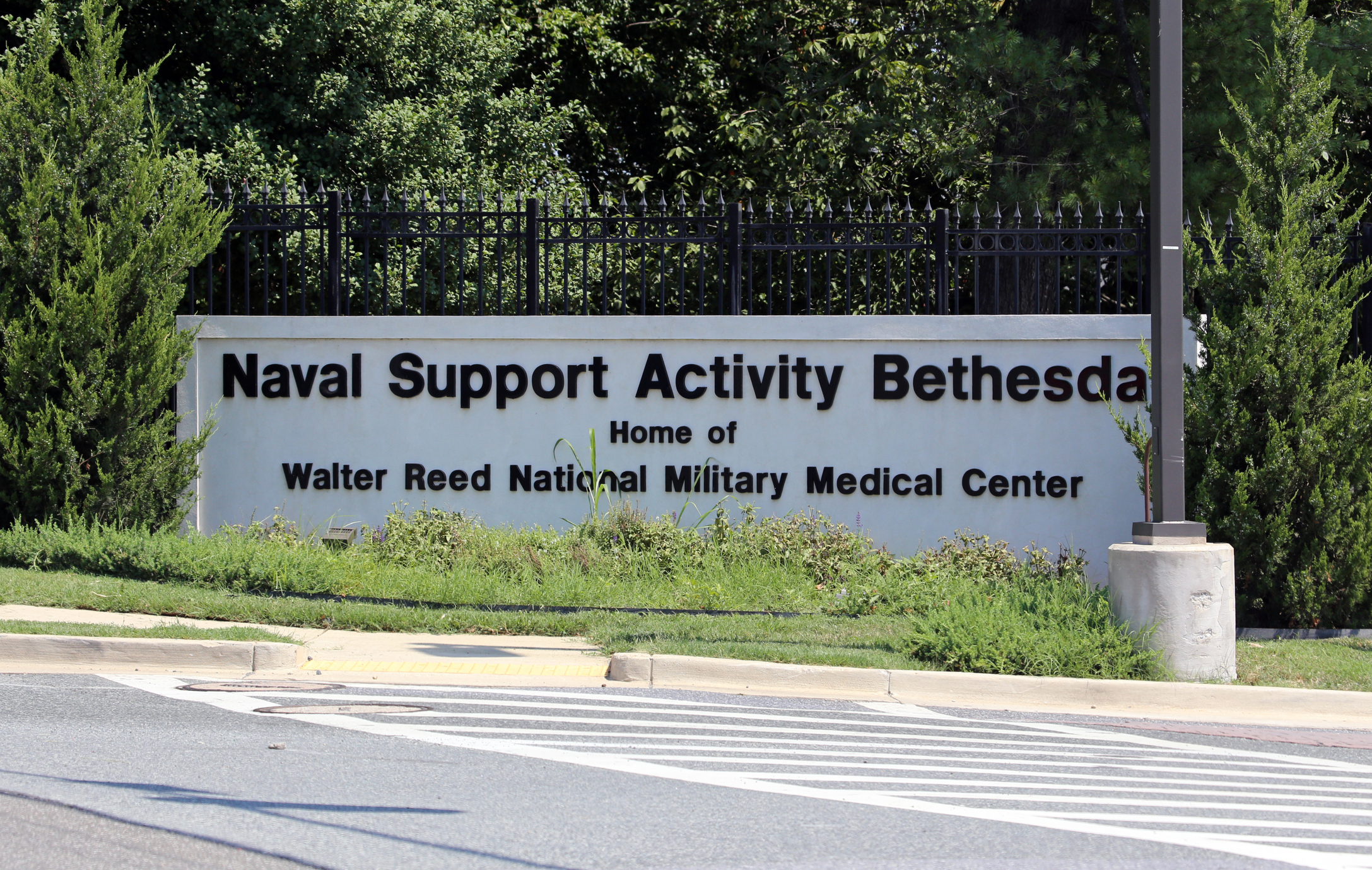 walter reed