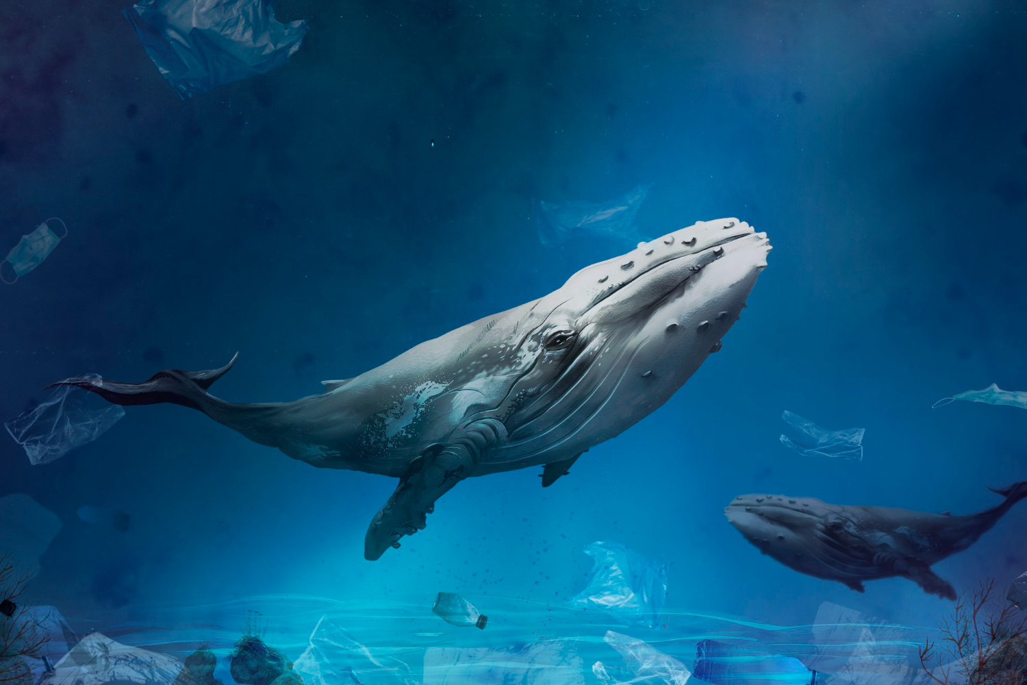 Descoperire spectaculoasă în adâncurile Oceanului Indian. Cercetătorii au găsit cel mai mare cimitir de balene din lume