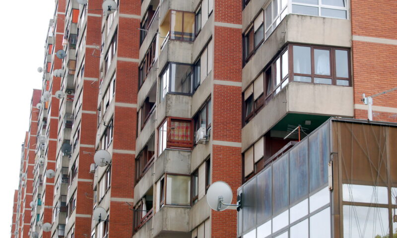 Nimeni nu se aștepta să îl vadă într-un apartament. Acum a devenit atracția cartierului