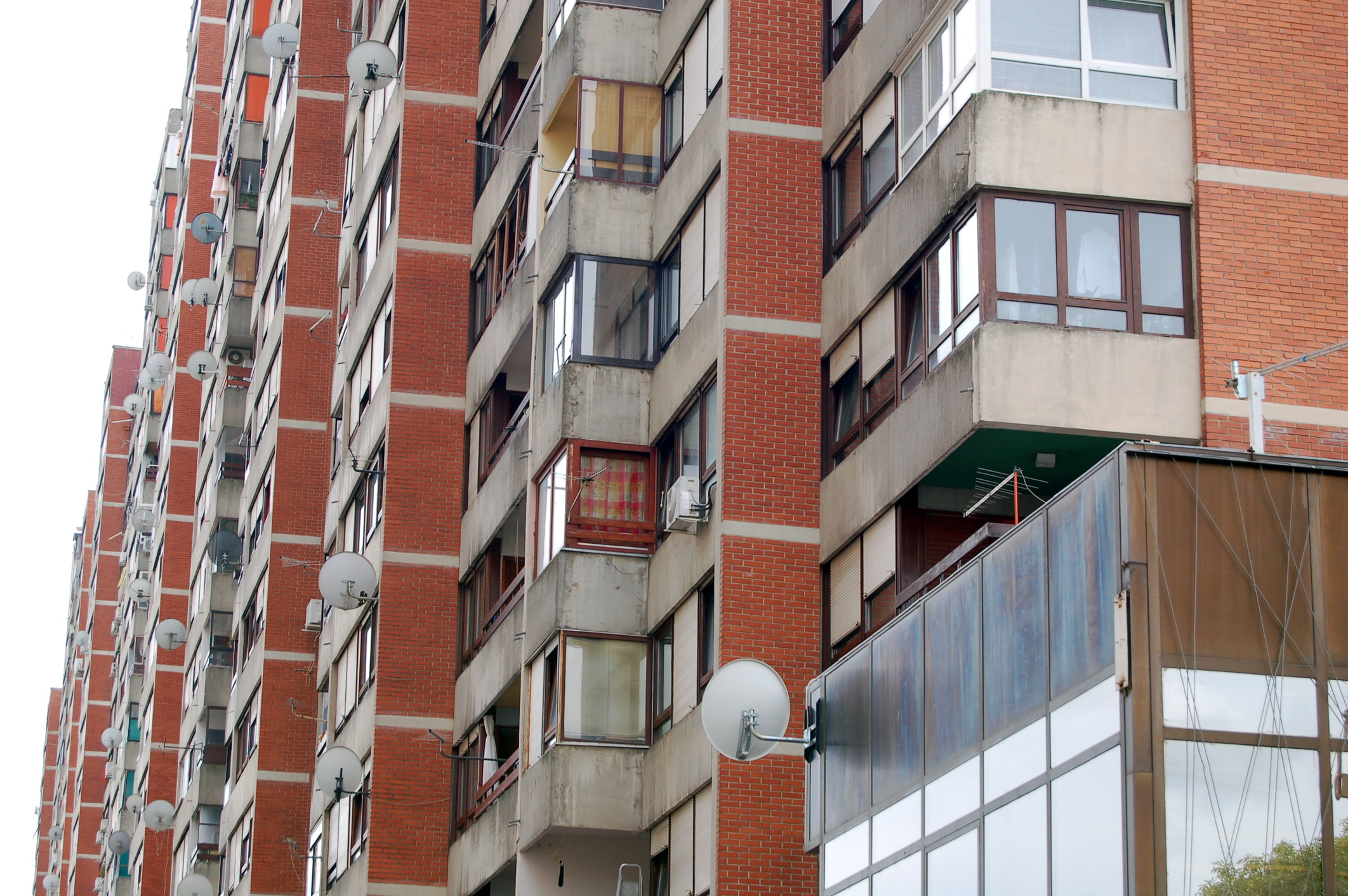 Nimeni nu se aștepta să îl vadă într-un apartament. Acum a devenit atracția cartierului