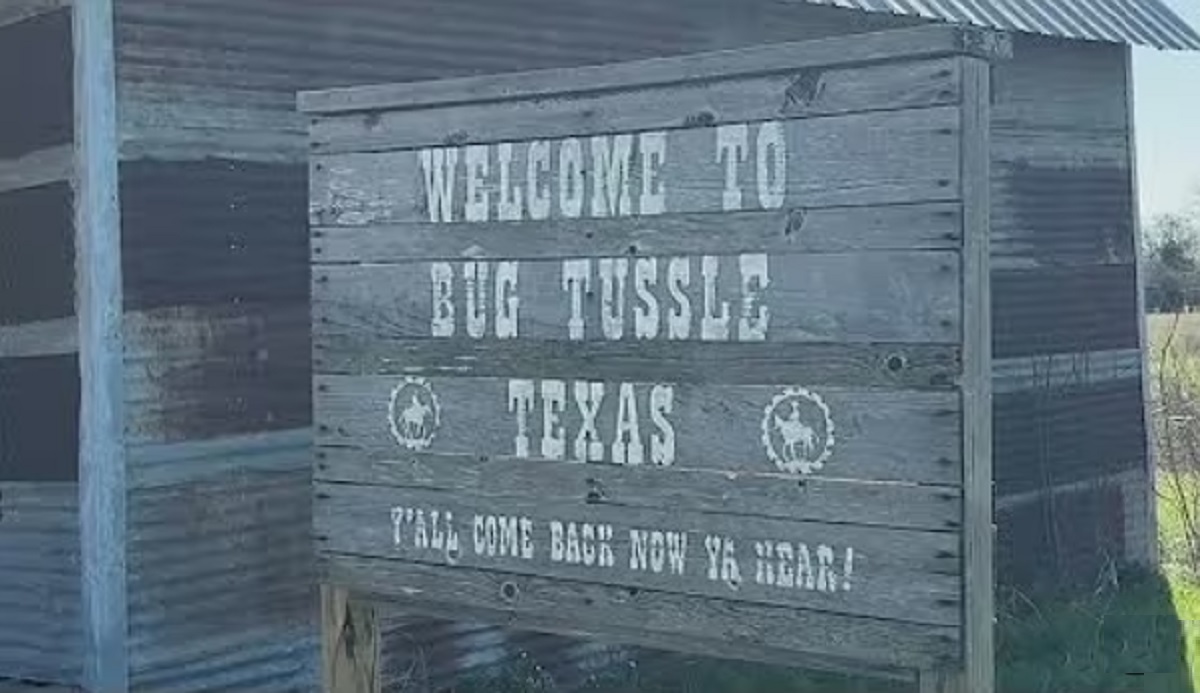 Bug Tussle