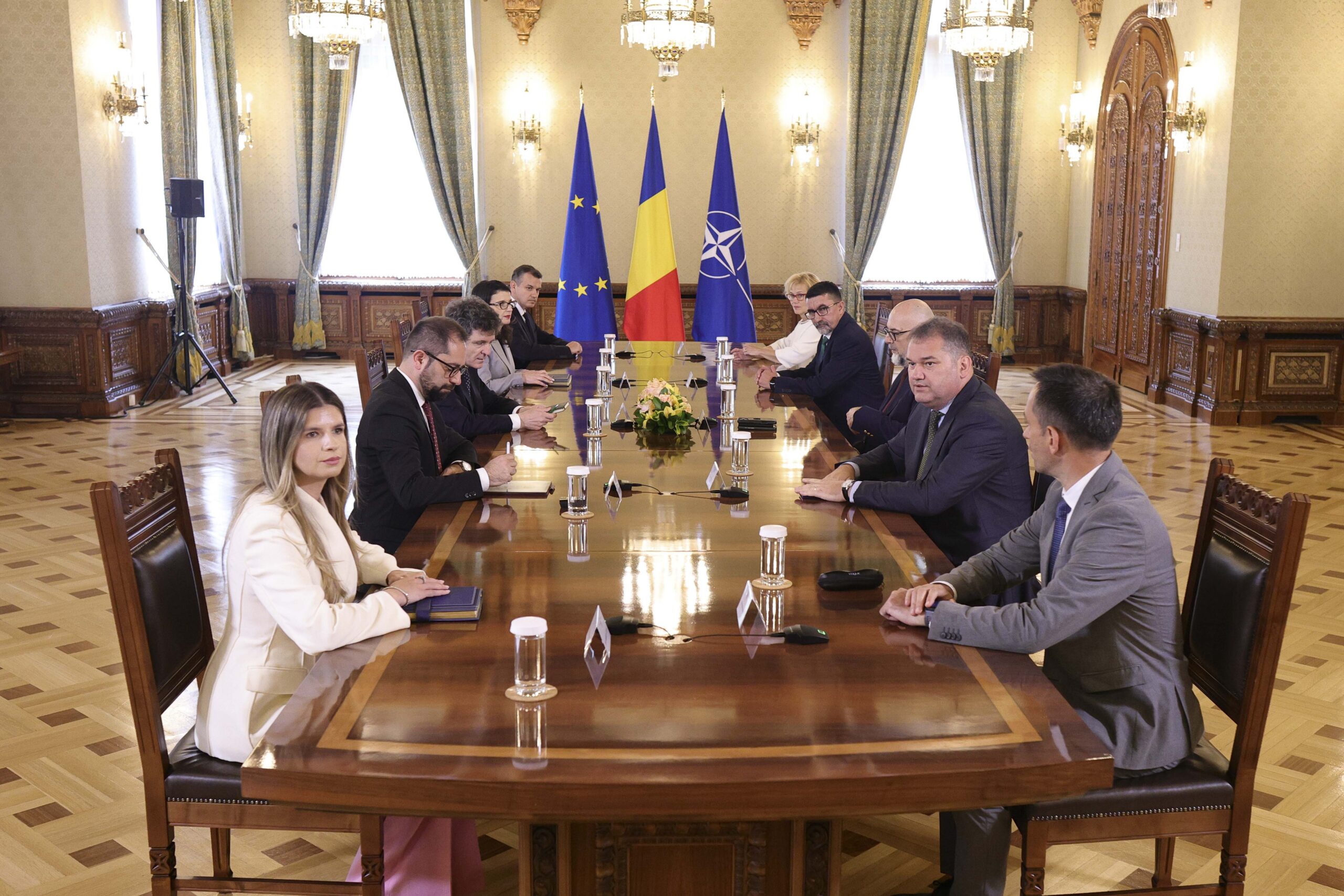 Consultări Cotroceni UDMR