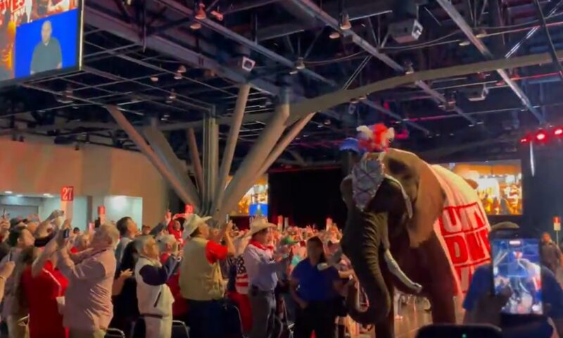 Un elefant de patru tone a stricat convenția Republicanilor din Texas și a devenit viral