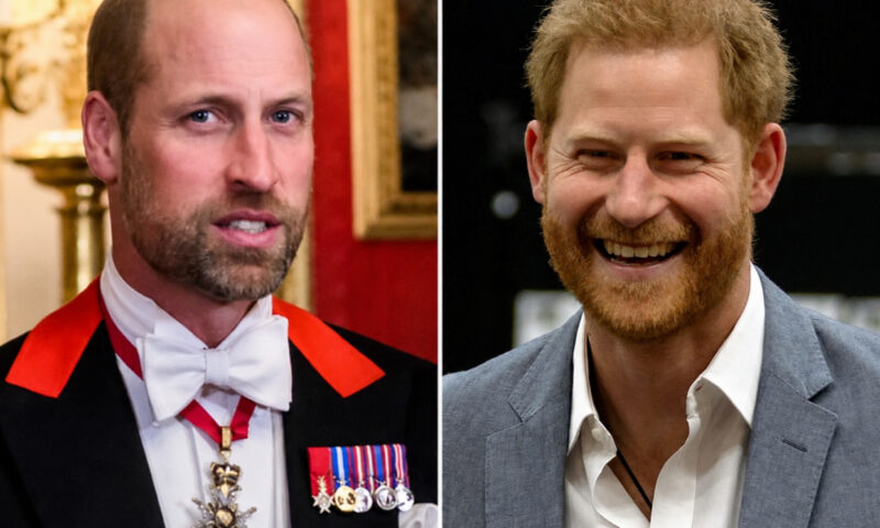 Relația dintre William și Harry, într-un punct critic. Șansele unei împăcări sunt tot mai mici