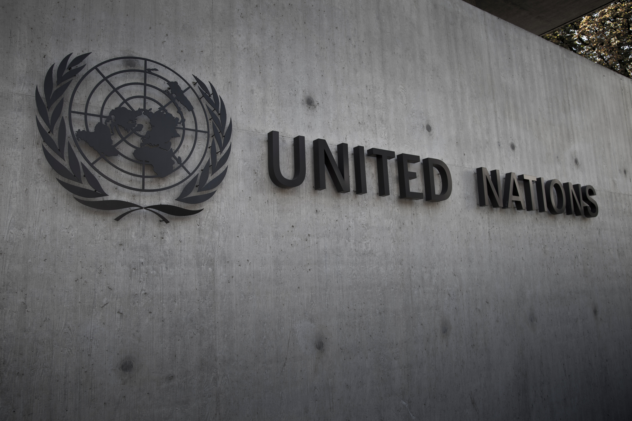 Ce poate obține România la Consiliul de Securitate al ONU. Cazurile Polonia, Georgia, Ucraina și Republica Moldova