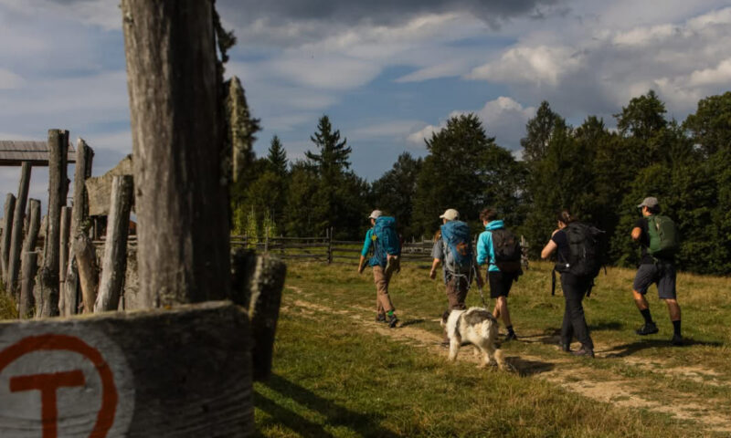Povestea drumului care a devenit „Camino de Santiago al României”. Via Transilvanica, magnet pentru turiști
