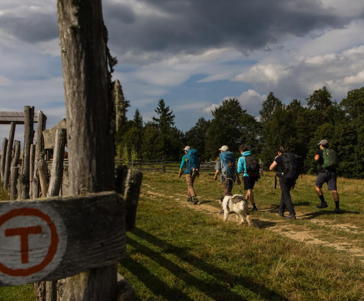 Povestea drumului care a devenit „Camino de Santiago al României”. Via Transilvanica, magnet pentru turiști