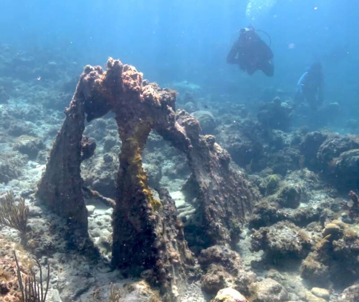 Epava piraților, descoperită în Bahamas.