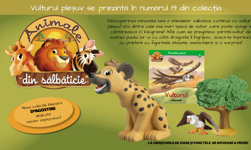 Vulturul pleșuv planează în numărul 19 al Colecției „Animale din sălbăticie”, la chioșcuri din 23 iunie