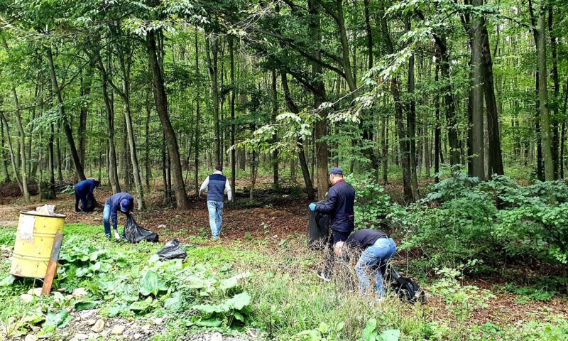 Cadavru găsit îngropat în curtea unui bărbat din Botoșani, dispărut de aproape cinci luni