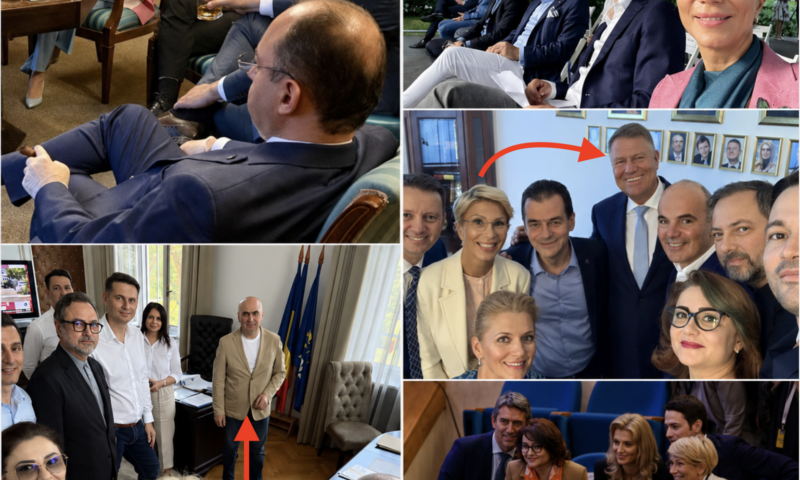 Cum o taxează Dana Budeanu pe „supraviețuitoarea din PNL: Raluca Turcan. Studiu de caz