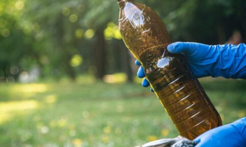 Reciclarea uleiului alimentar. Ce trebuie să știi înainte să îl arunci după gătit