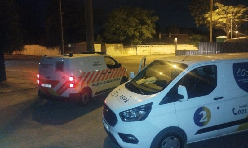 Zeci de câini din București au ajuns în adăposturile ASPA. Care este sectorul cu cele mai mari probleme