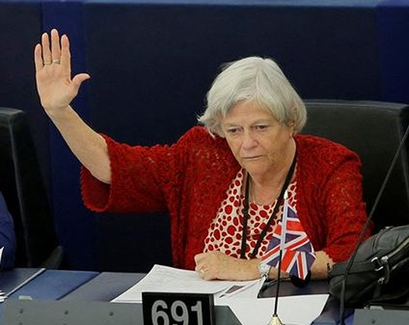 Uciderea fostei deputate britanice Ann Widdecombe. Principalul suspect, un bărbat de 26 de ani, a fost reținut