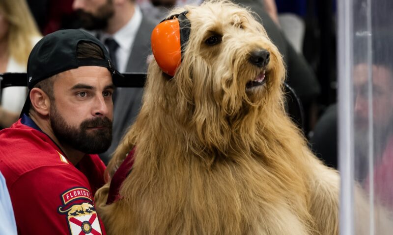 Apariție neașteptată la Mondial. Cine era „uriașul” cu căști din tribună