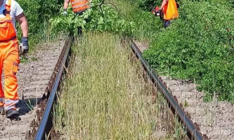Infrastructura feroviară din Portul Constanța va fi modernizată. CFR SA, contract de peste 5 milioane de lei