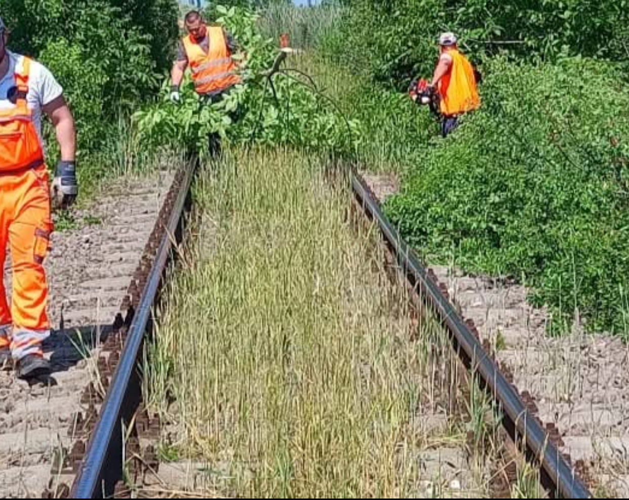 Infrastructura feroviară din Portul Constanța va fi modernizată. CFR SA, contract de peste 5 milioane de lei