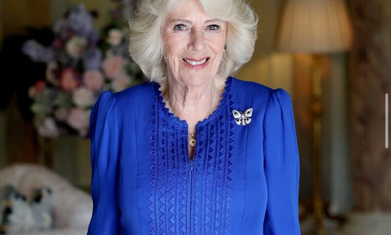 Ce poveste ascunde noul portret al Reginei Camilla, făcut cunoscut de ziua ei